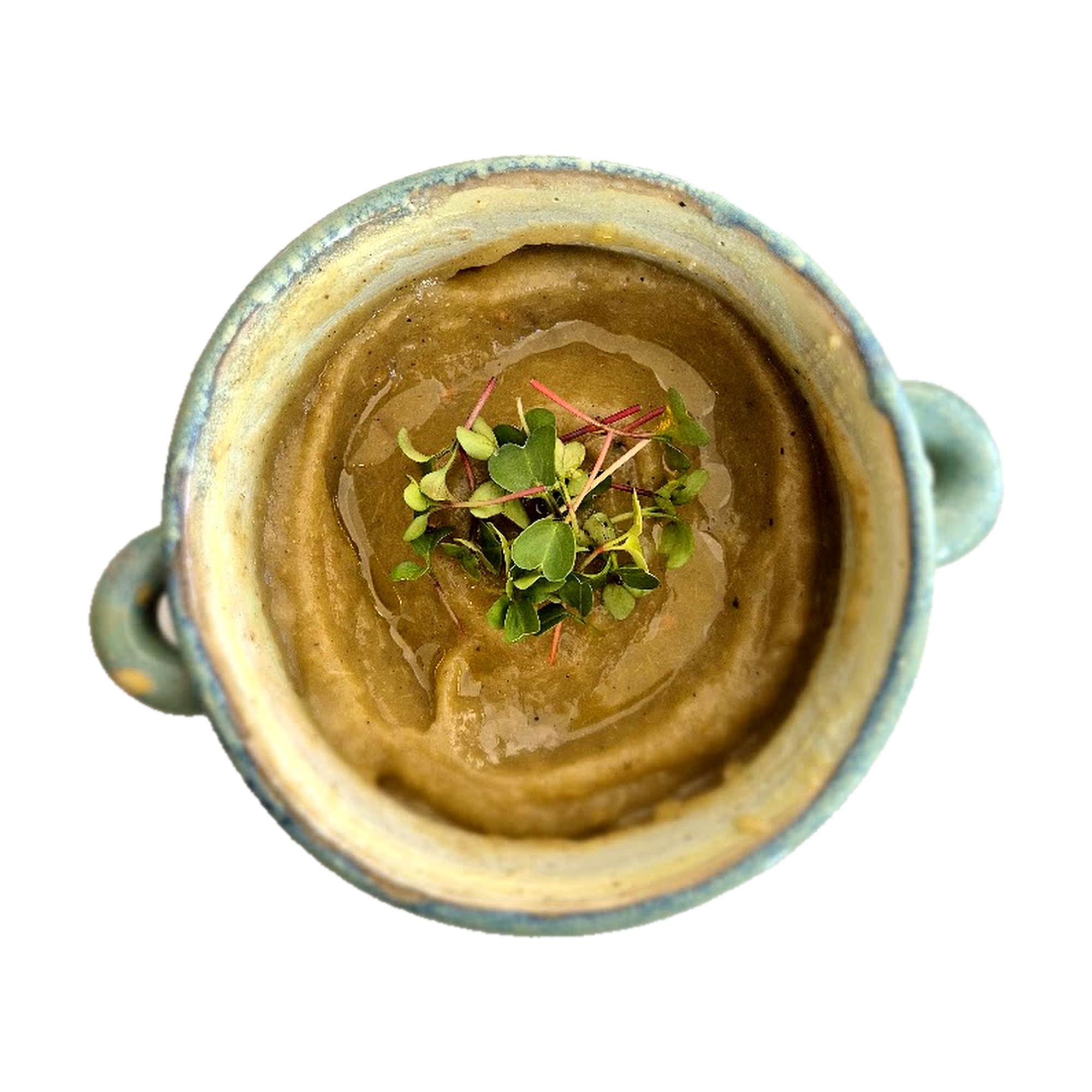Sopa crema decorada con microgreens